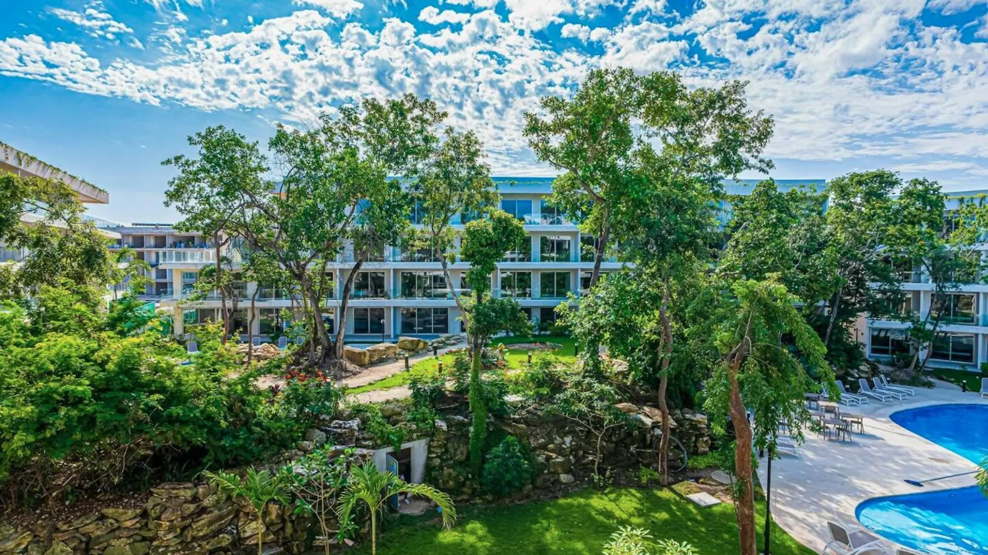 Suite Con Terraza Privada Y Diseno Moderno 普拉亚卡门 公寓式酒店